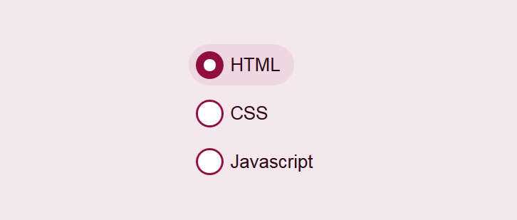 css3美化单选按钮点击选中动画特效 - 项目资源网