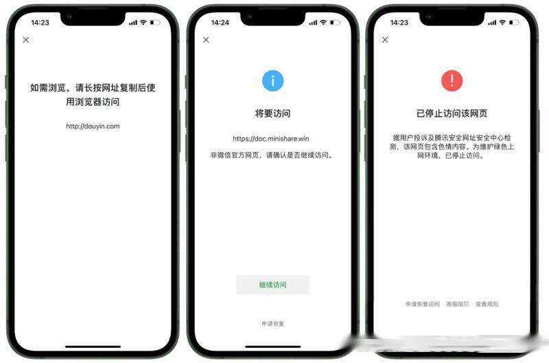 2023最新检测域名是否能在微信正常打开API源码 - 项目资源网