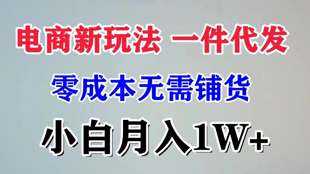 电商新玩法，一件代发，零成本无需铺货，小白月入1W+ - 项目资源网