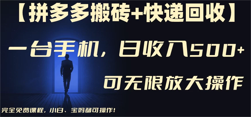拼多多搬砖＋快递回收，日入600+，可多号矩阵收益无上限 - 项目资源网