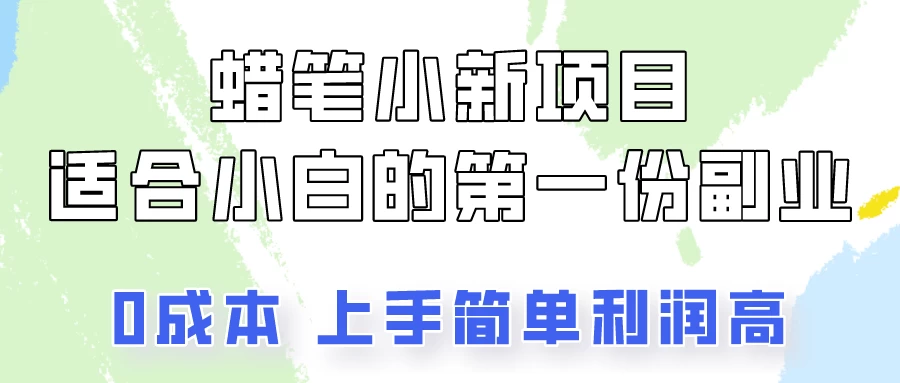 蜡笔小新项目拆解，小白一个月也能多赚3000+ - 项目资源网