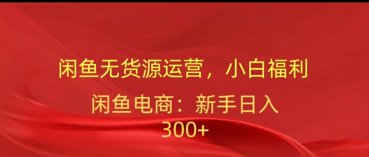 闲鱼无货源运营，小白福利，日入300+，轻松月入过万！ - 项目资源网