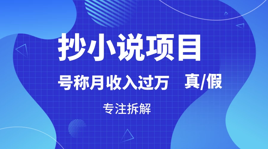 抄小说项目，号称月入过万，到底是否真实，能不能做，详细拆解 - 项目资源网