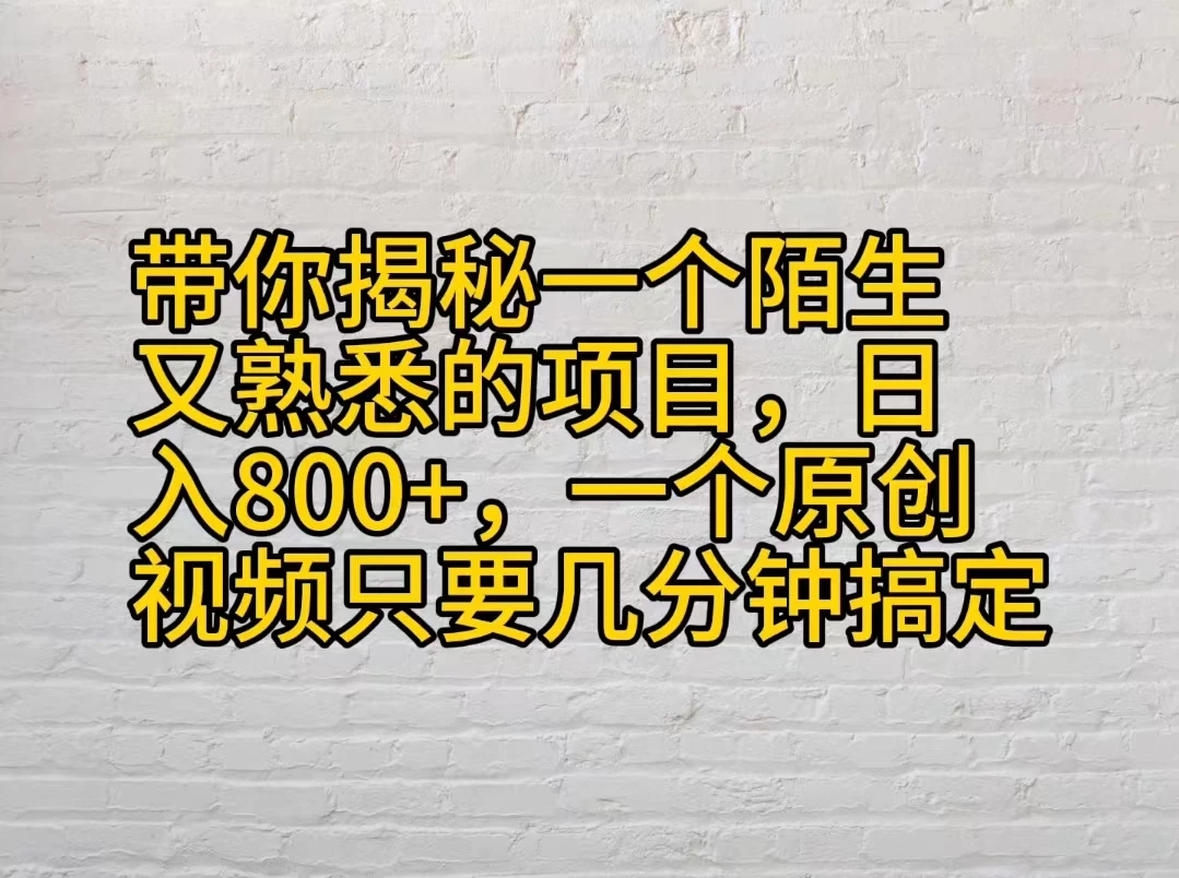 带你揭秘一个陌生又熟悉的项目，日入800+，一个原创视频只要几分钟搞定 - 项目资源网