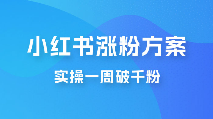 小红书爆款涨粉方案，实操一周破千粉，利用商单轻松变现，在家就能月入过万 - 项目资源网
