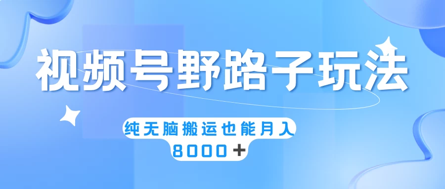 视频号野路子玩法，纯无脑搬运小白可做，月入8000+ - 项目资源网