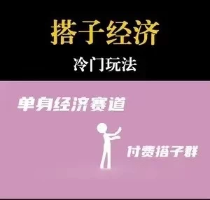 靠搭子经济月入5万每天两小时简单无脑好上手 - 项目资源网