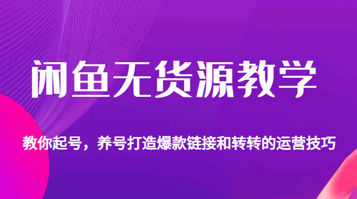 闲鱼无货源电商教学：教你起号，养号打造爆款链接以及转转的运营技巧 - 项目资源网
